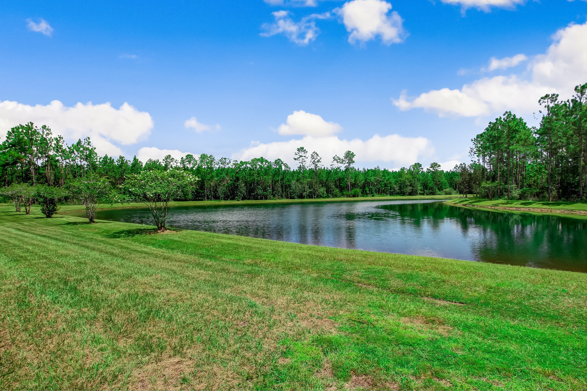 Sandy Creek