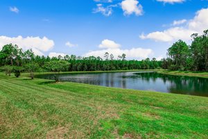 Sandy Creek