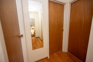  Photo 51