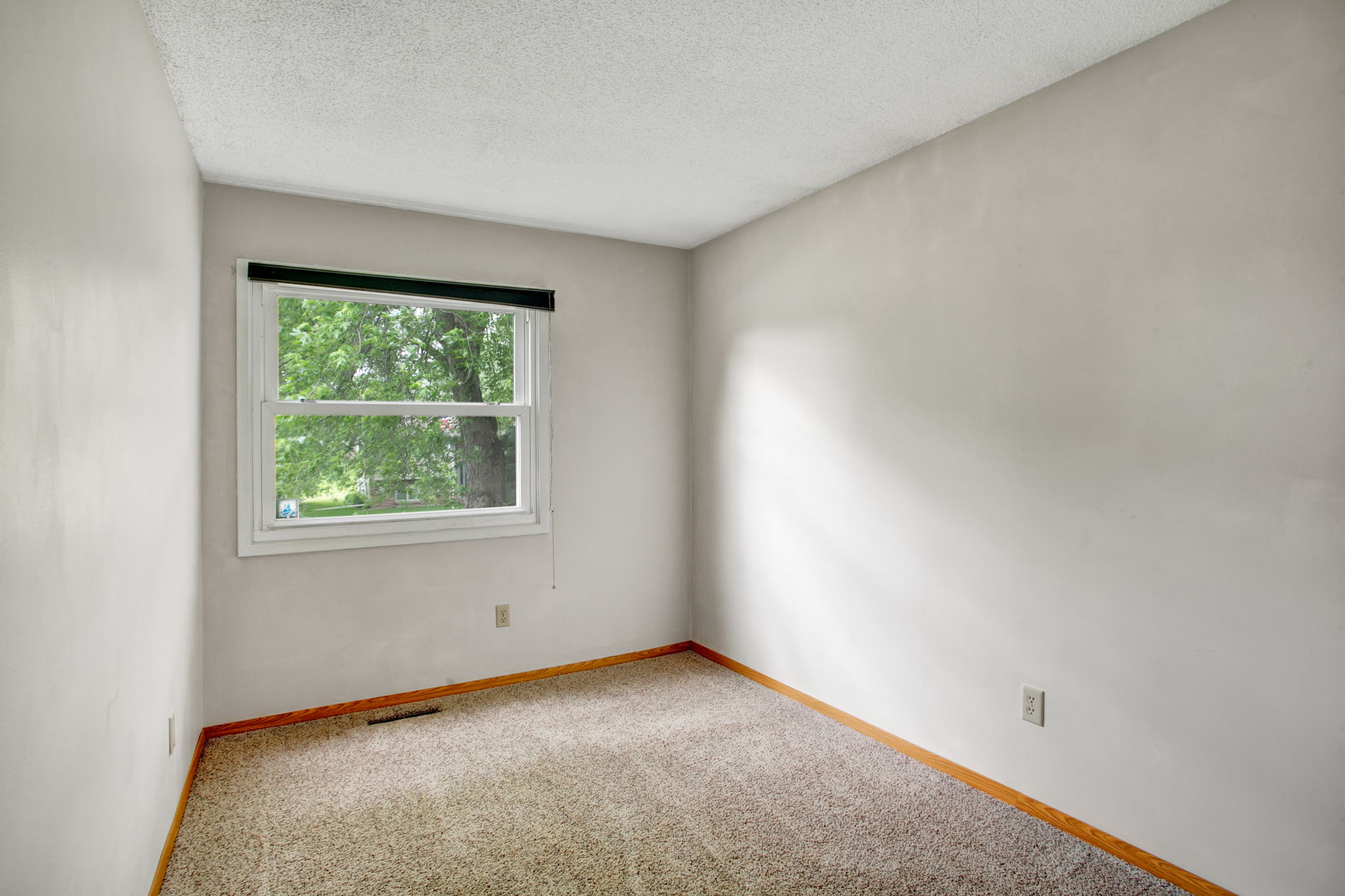  800 Elm Ave E, Delano, MN 55328, US Photo 16