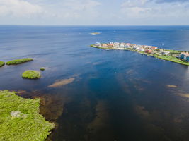 DJI_0380
