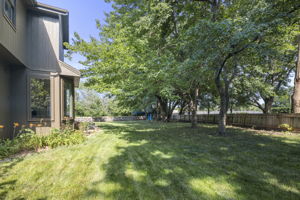  Photo 49