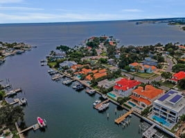 Aerial (14)