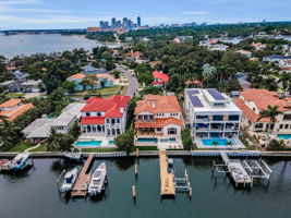 Aerial (15)