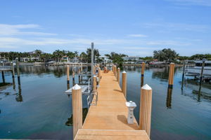 Dock1
