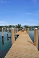 Dock3
