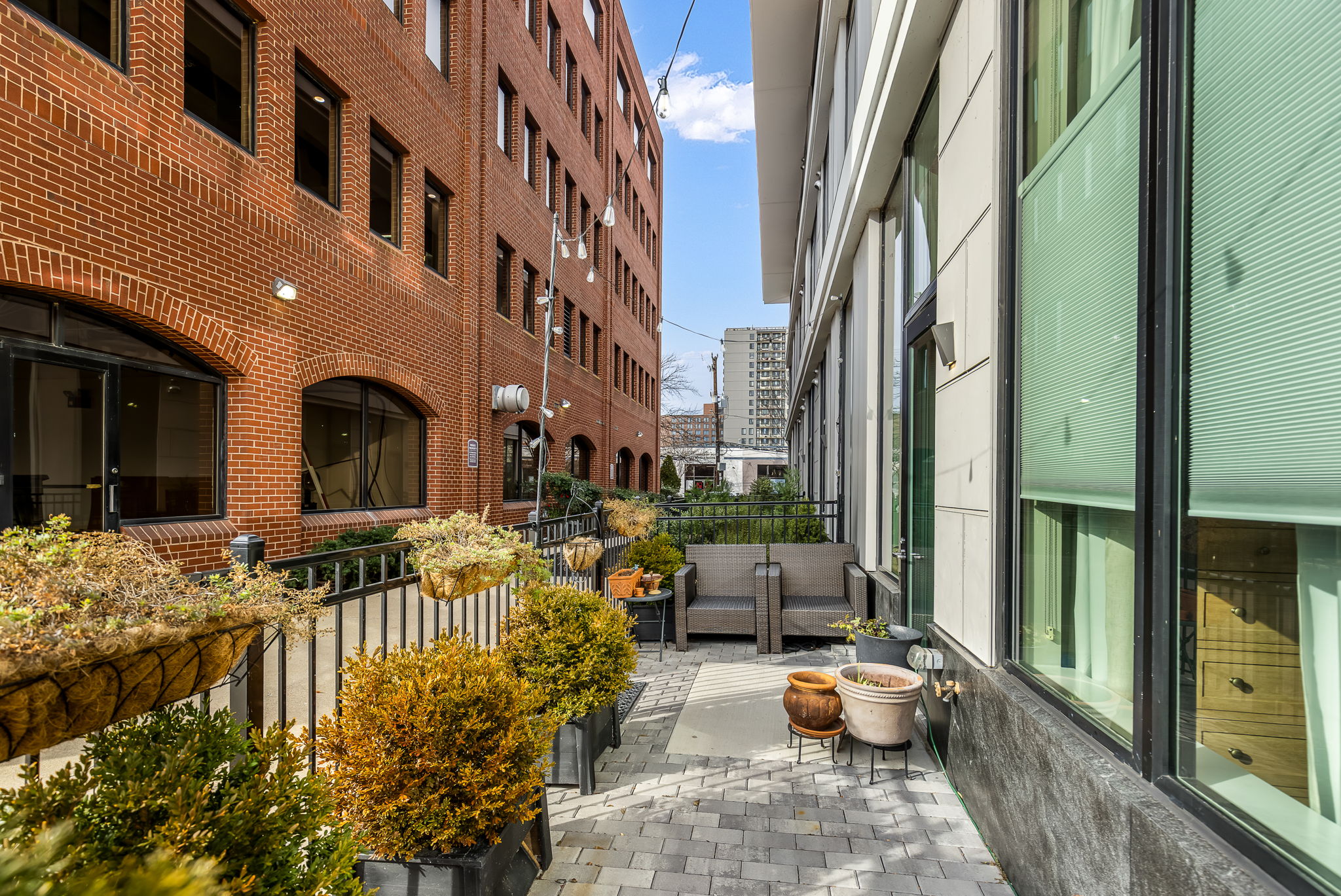 Potted evergreens convey.