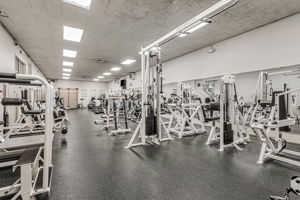  Photo 36