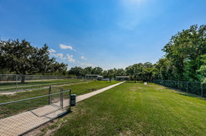 80-South Campus Dog Park