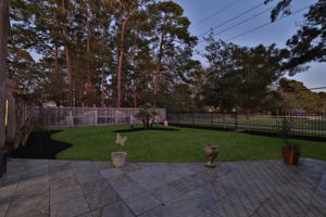  Photo 51
