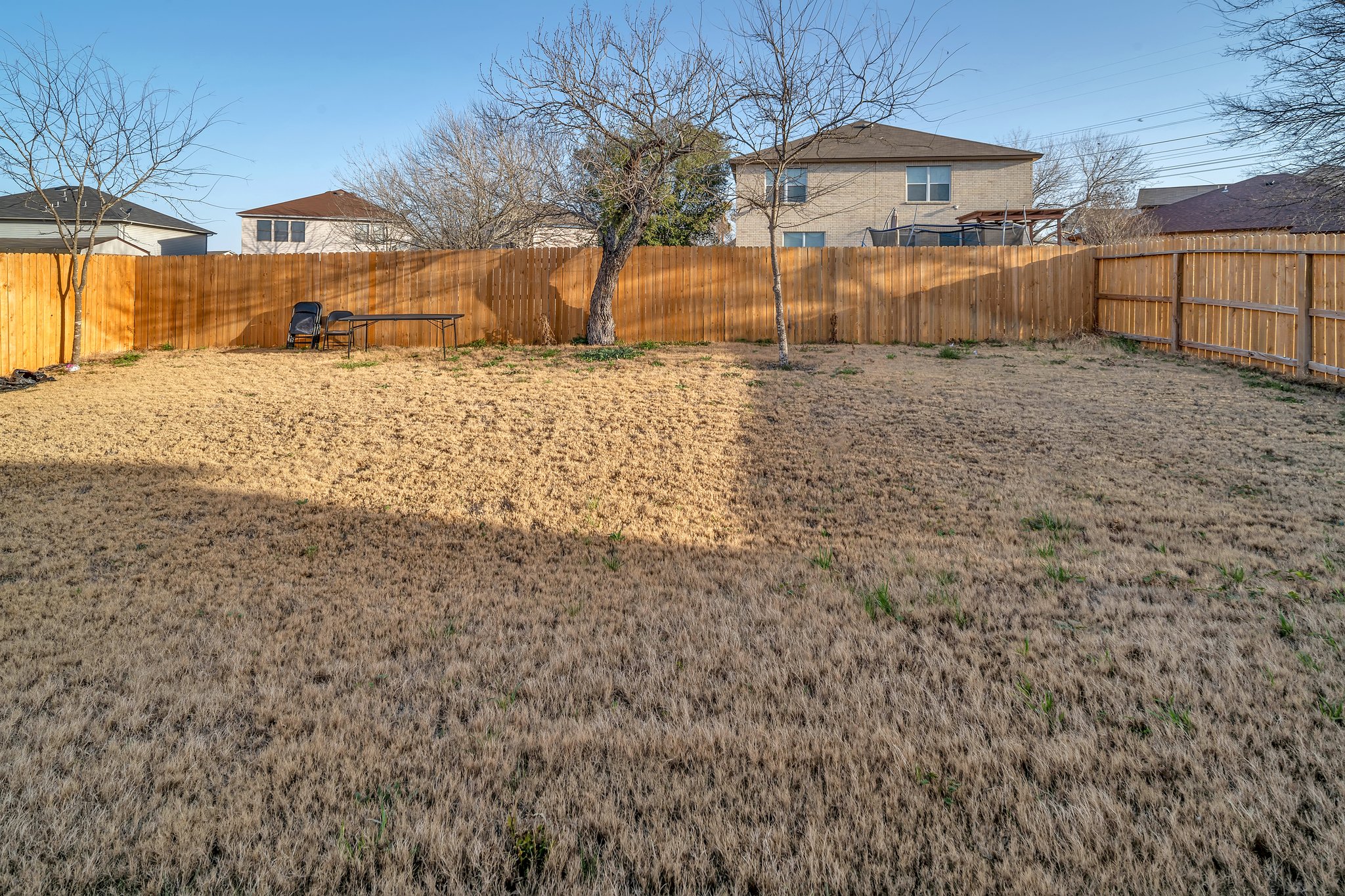 Backyard