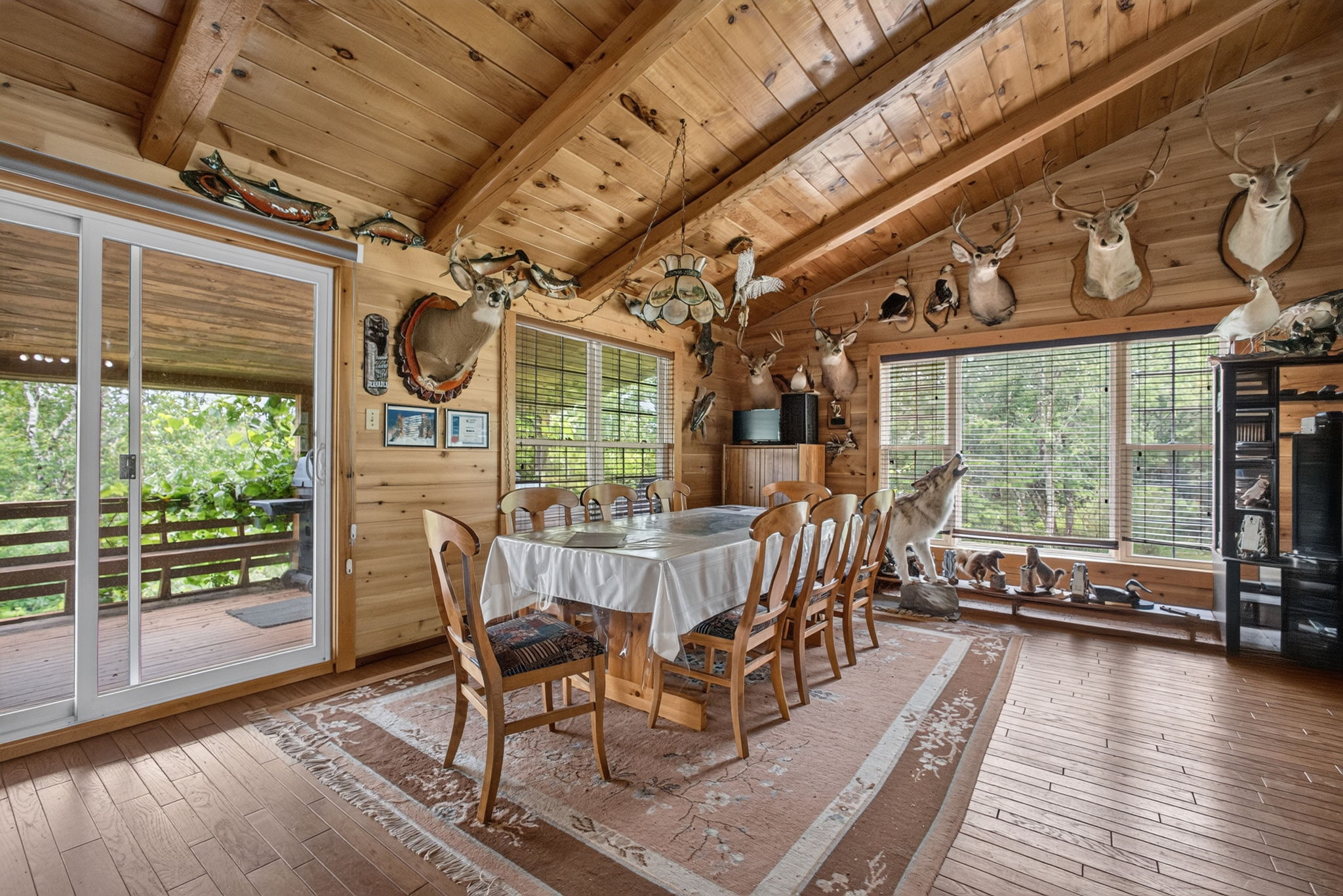  Photo 50