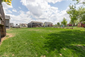 36-Back View