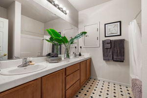  Photo 49