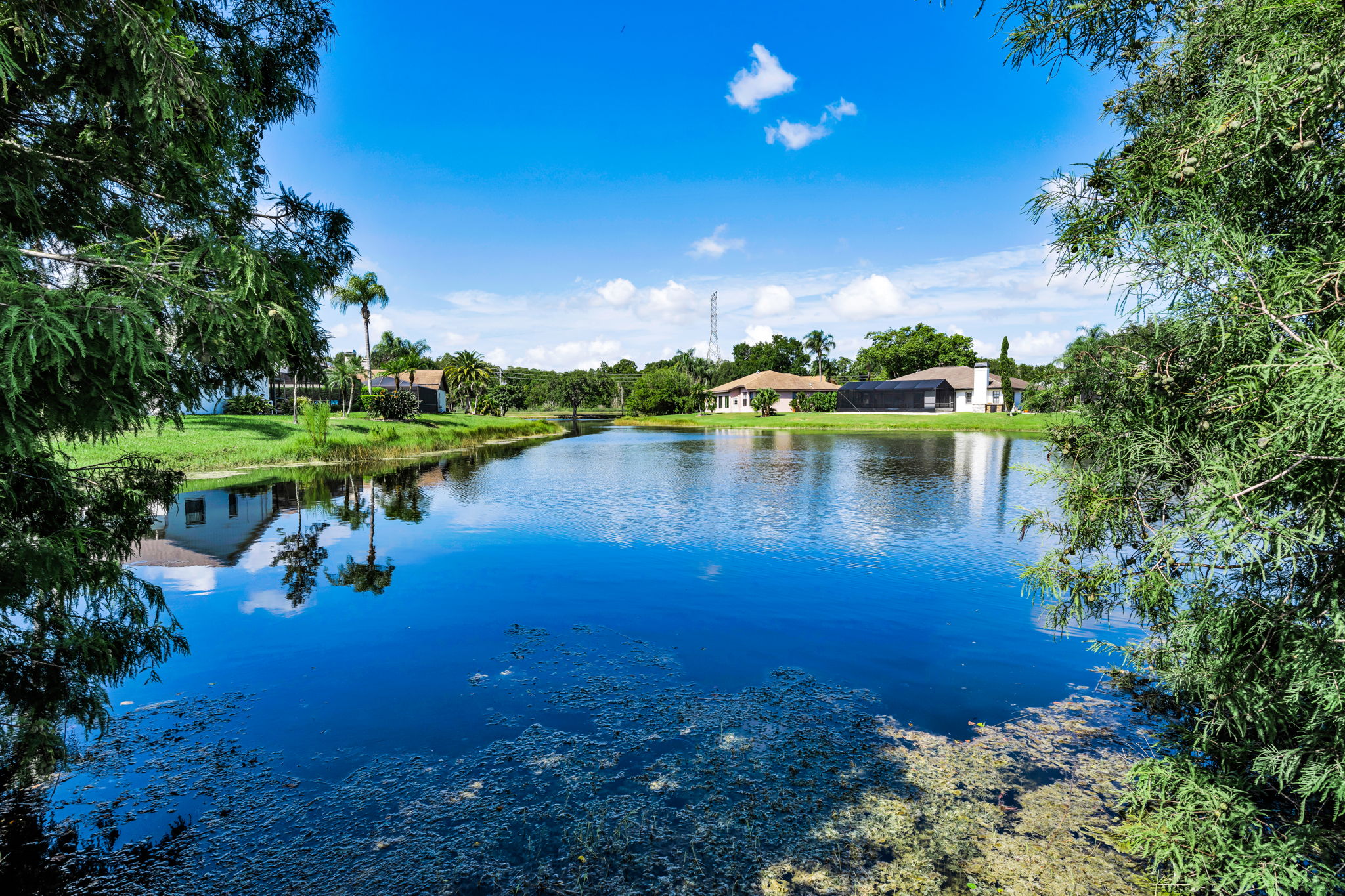 Pond View 1