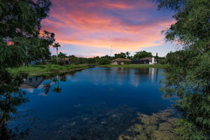Pond View 1