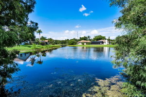 Pond View 1