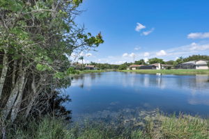 Pond View 2