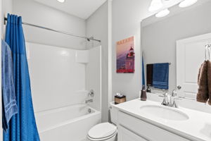 Lower Level - Bathroom