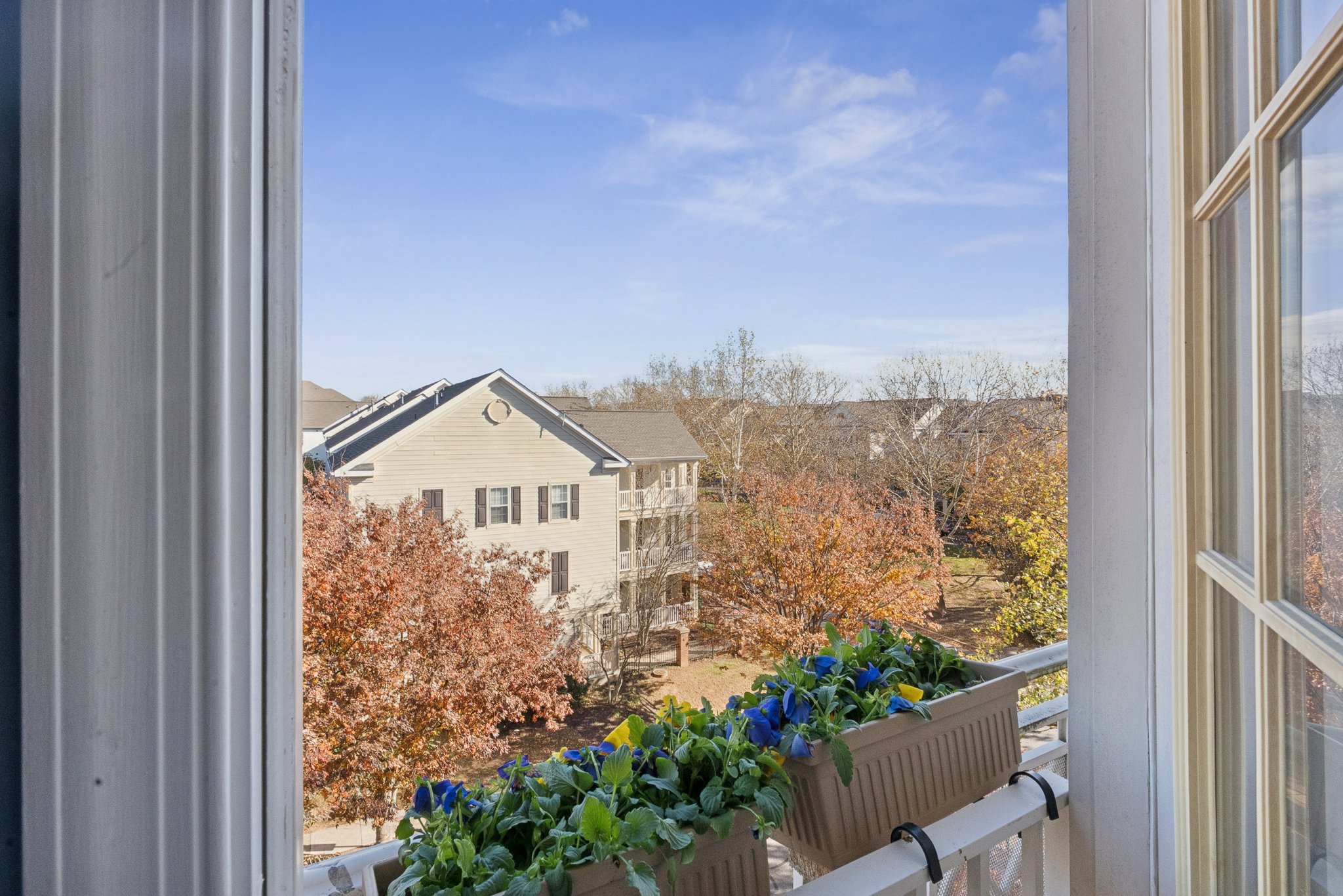 View From Juliette Balcony