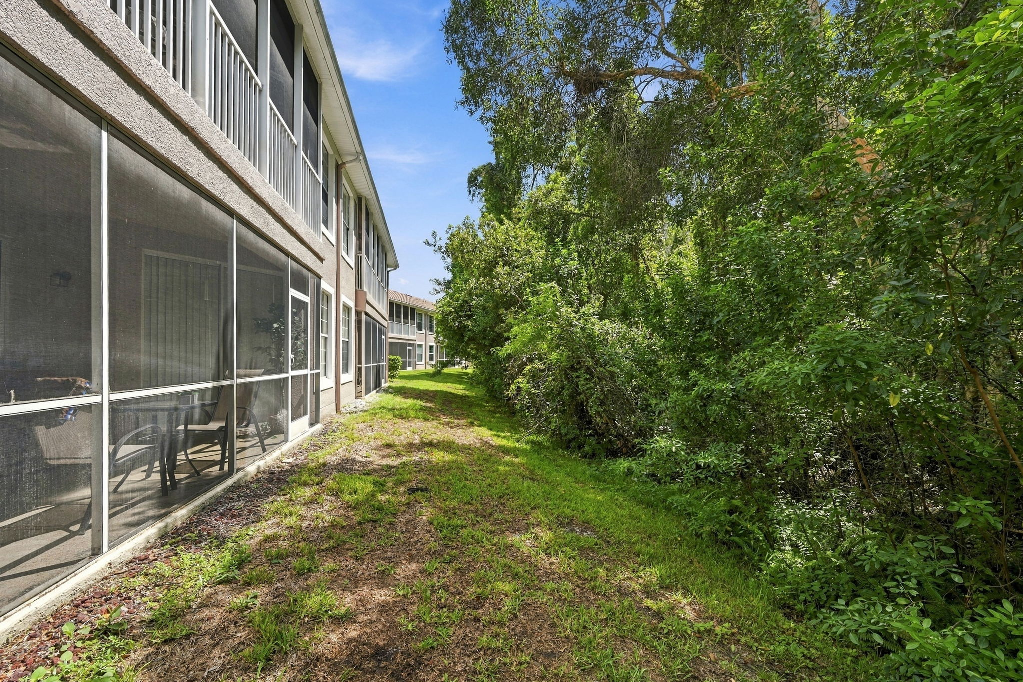 Backyard3