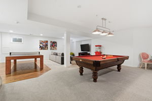 Lower Level Recreation Area