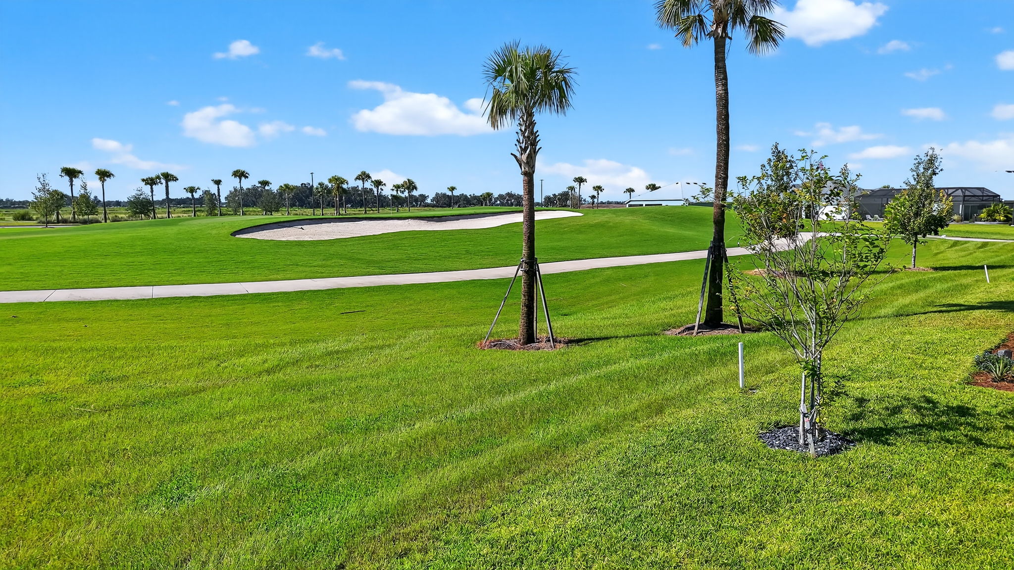 Magnificent Golf Front Views