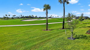 Magnificent Golf Front Views