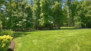  Photo 59