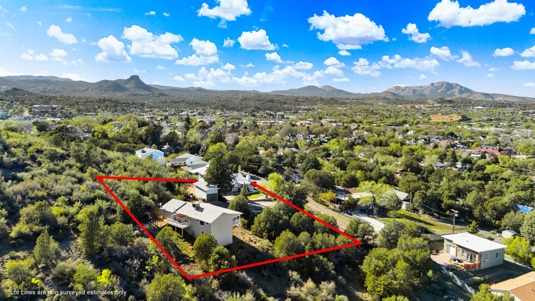 Aerial (1) Lot Lines