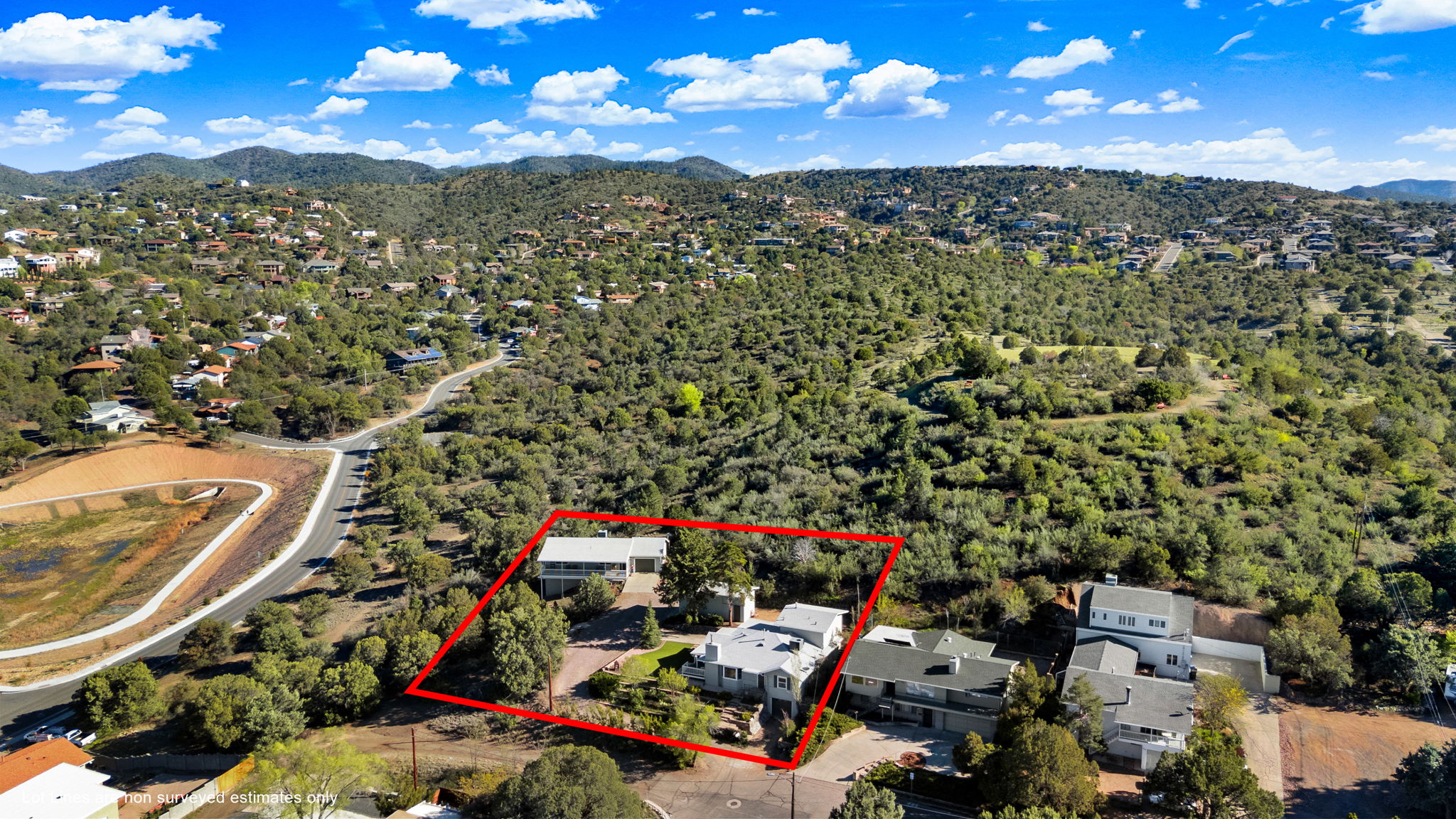 Aerial (3) Lot Lines