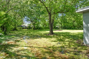  Photo 46