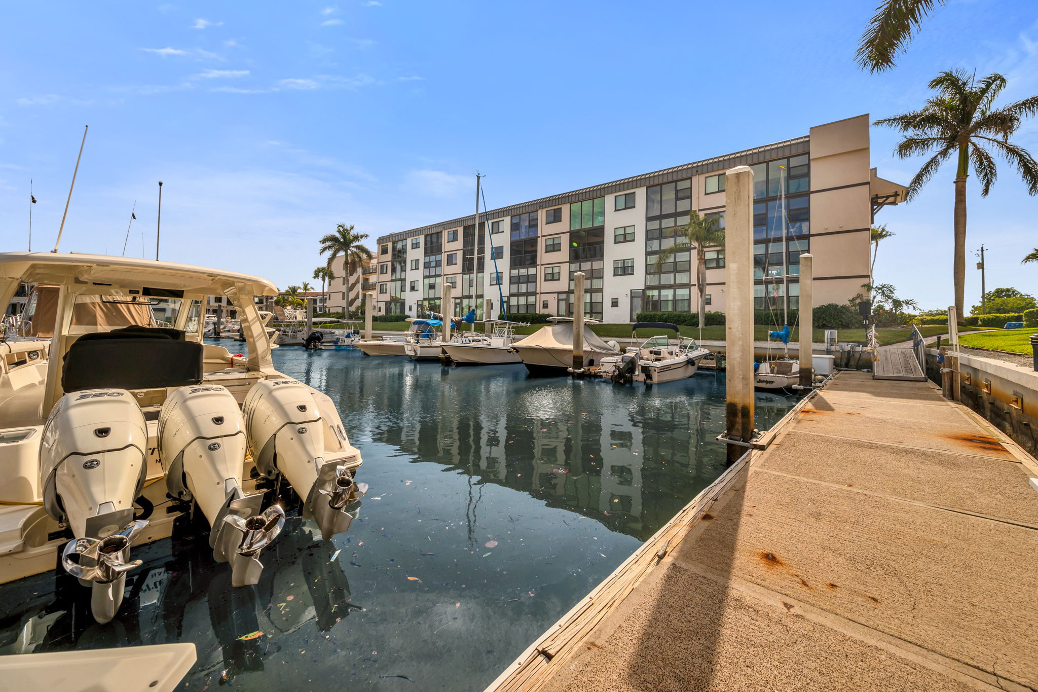 Marina Rear View