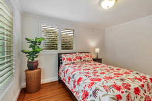 025_803 Thornhill Dr