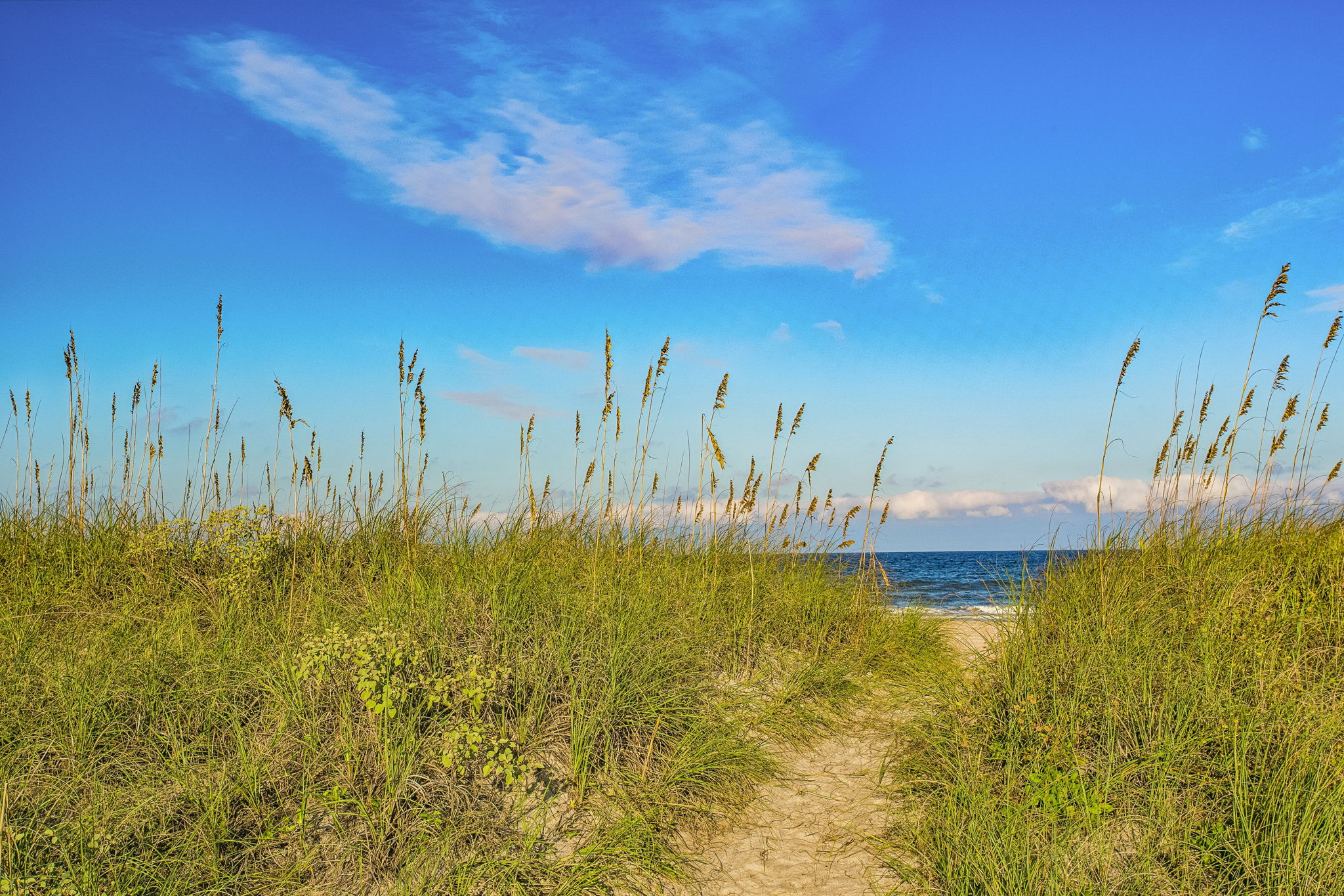 Beach