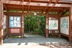  Photo 39