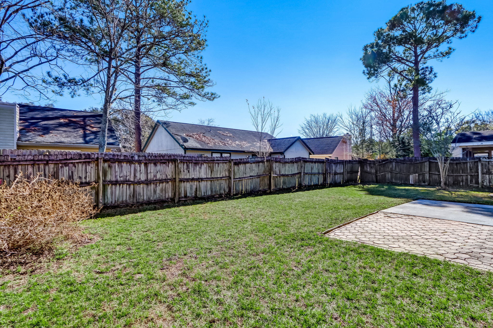 Back Yard