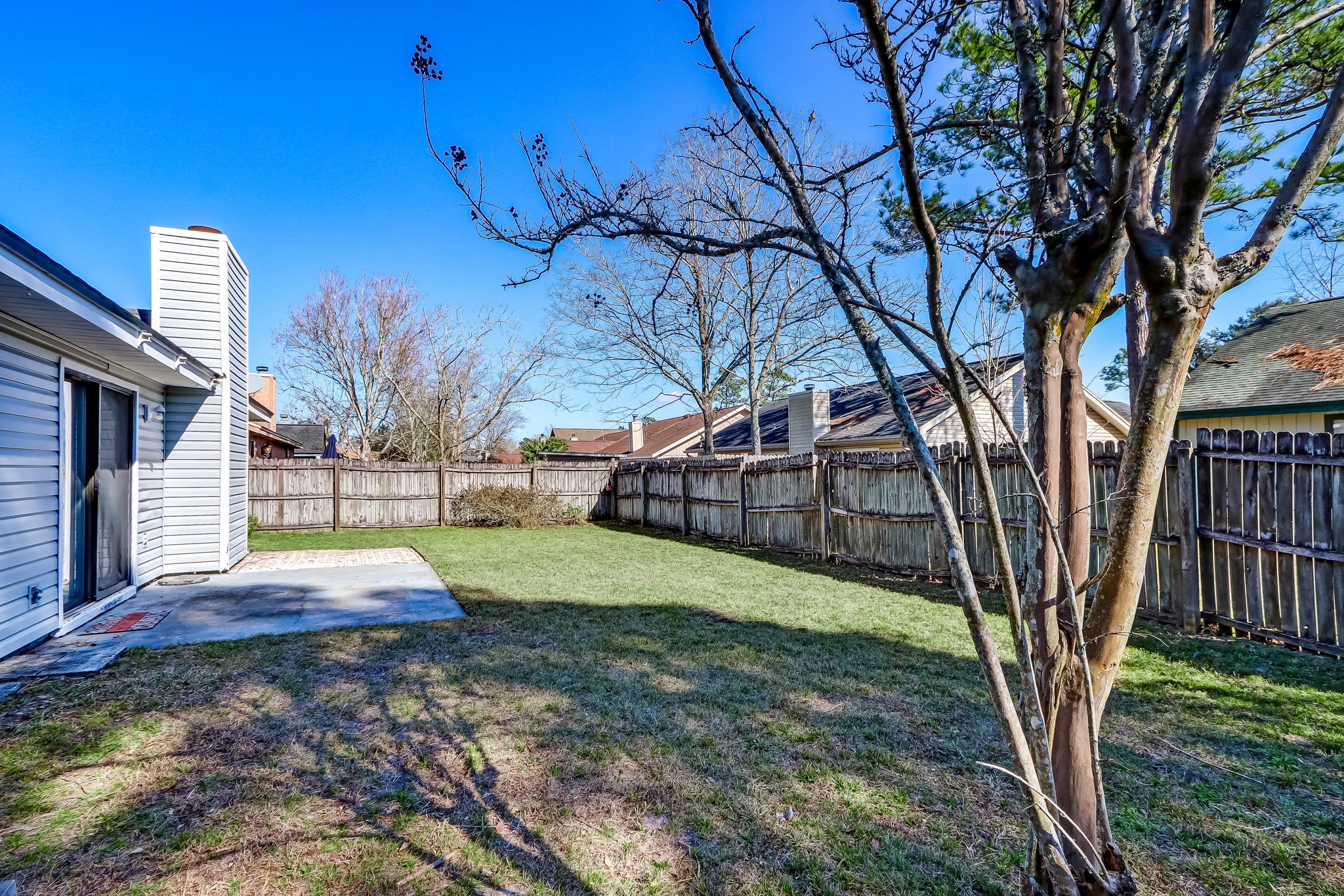 Back Yard