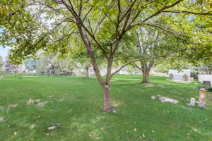 Springwater Dr W-030