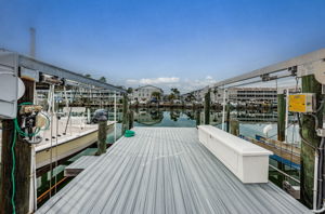 Dock1