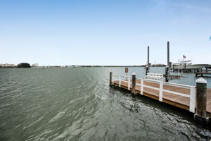 Dock3