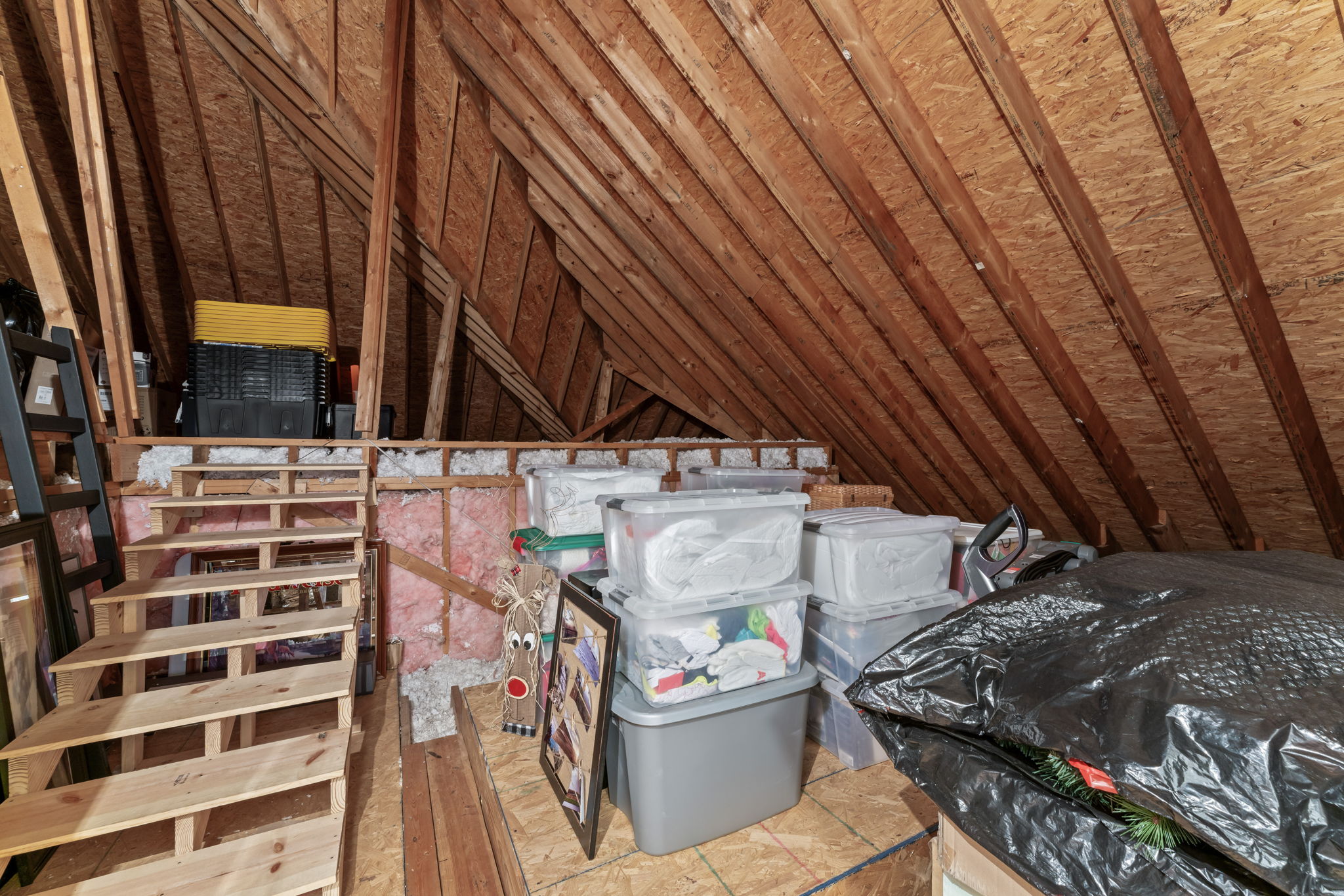  Photo 48