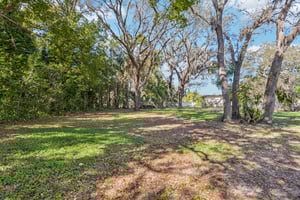 Robin Ave-S0503-043.jpg