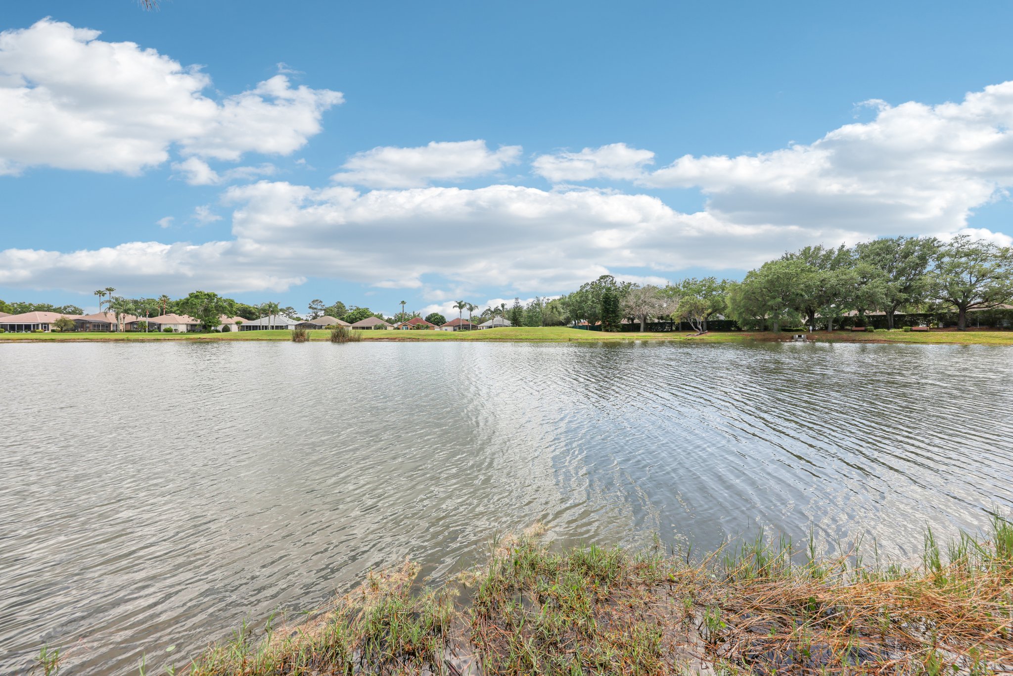 Pine Hollow Dr-1104-059.jpg