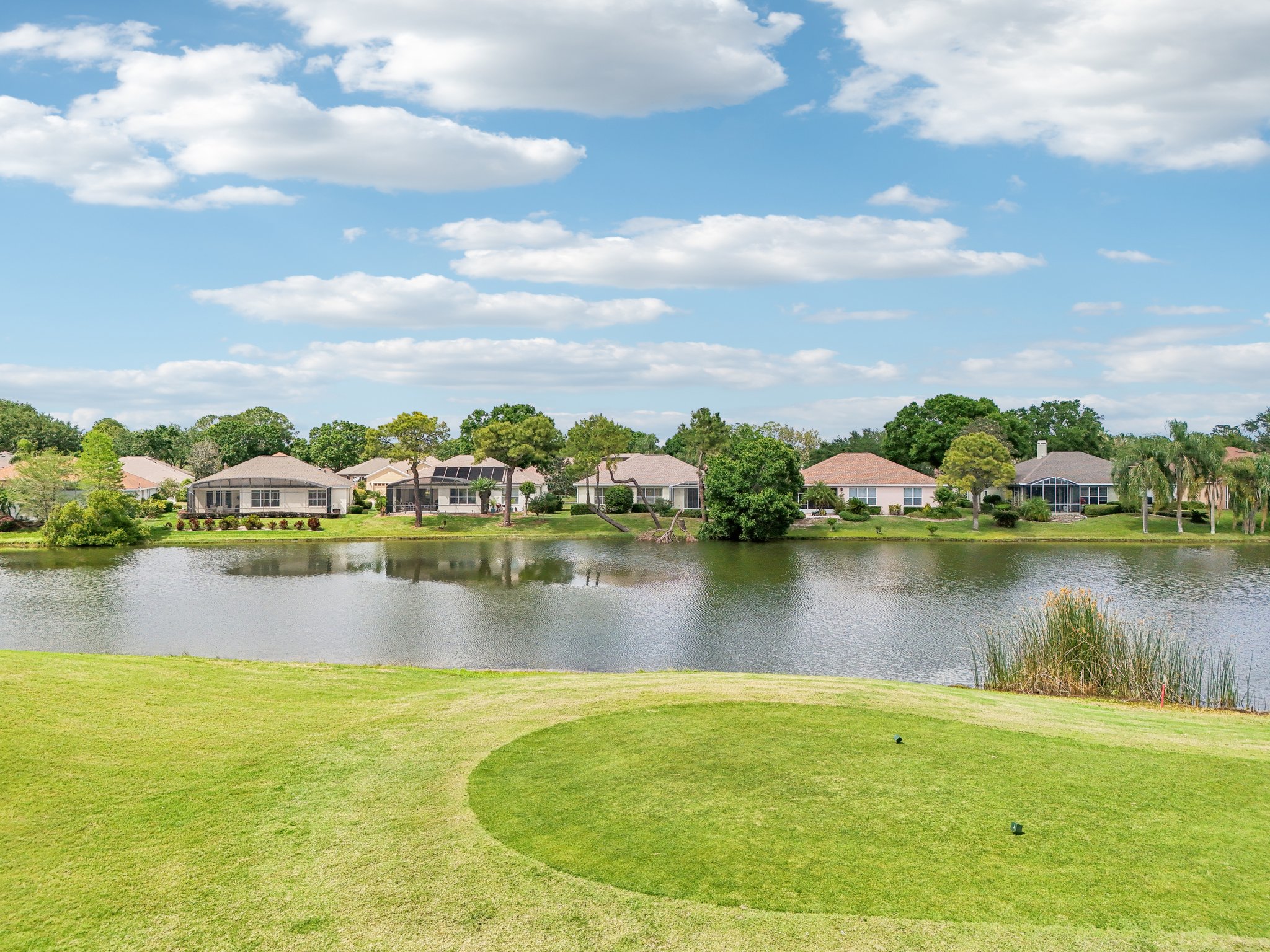 Pine Hollow Dr-1104-083.jpg