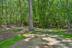 Catawba Cove Dr-S0105-006.jpg