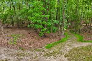 Catawba Cove Dr-S0105-117.jpg
