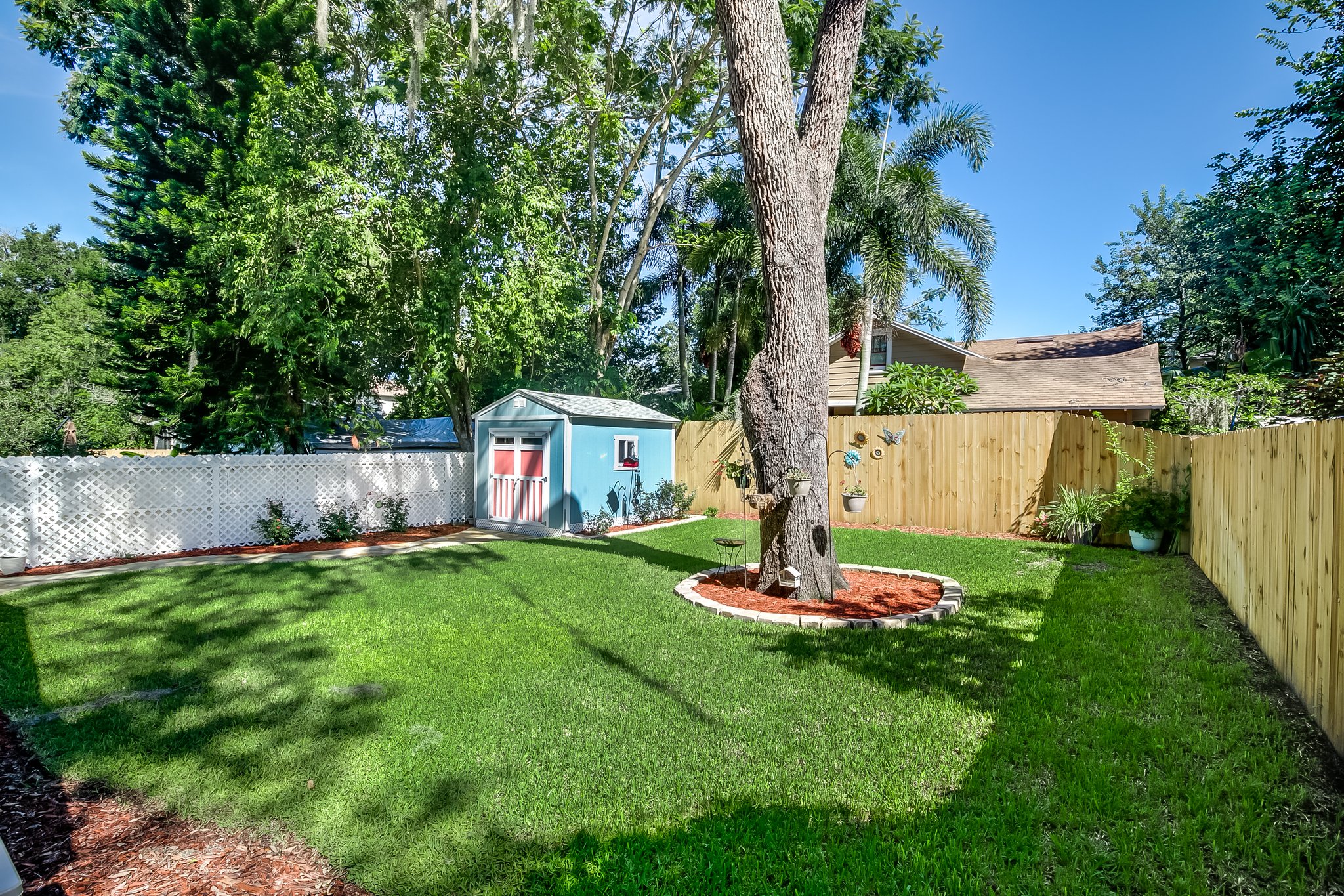 New Fencing in Backyard