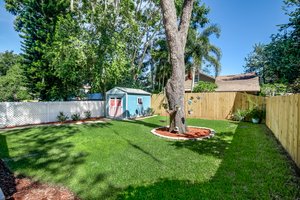 New Fencing in Backyard