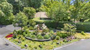  Photo 0